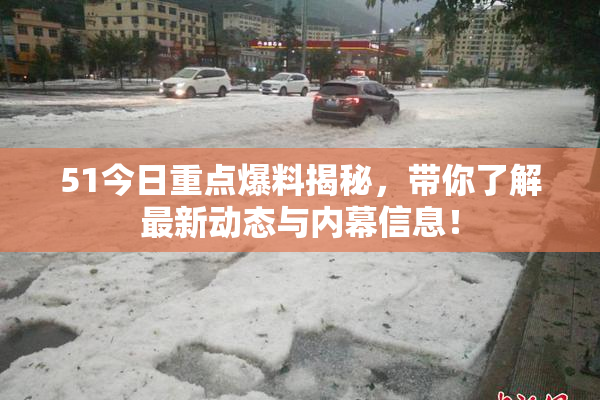 51今日重点爆料揭秘，带你了解最新动态与内幕信息！