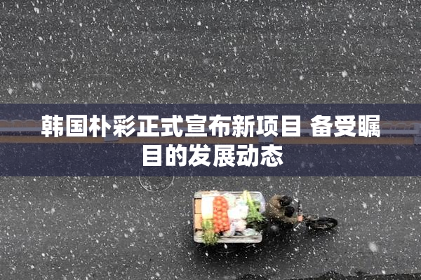 韩国朴彩正式宣布新项目 备受瞩目的发展动态