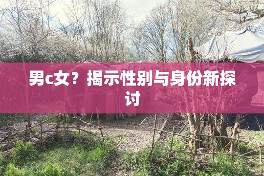 男c女？揭示性别与身份新探讨