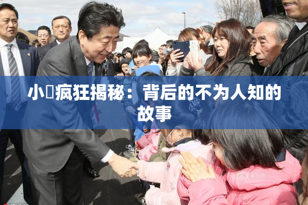 小泬疯狂揭秘：背后的不为人知的故事