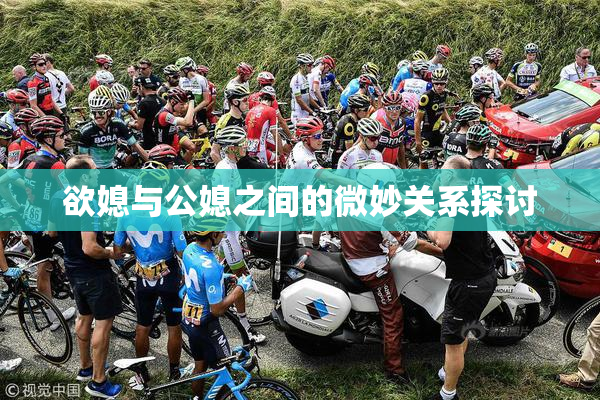 欲媳与公媳之间的微妙关系探讨