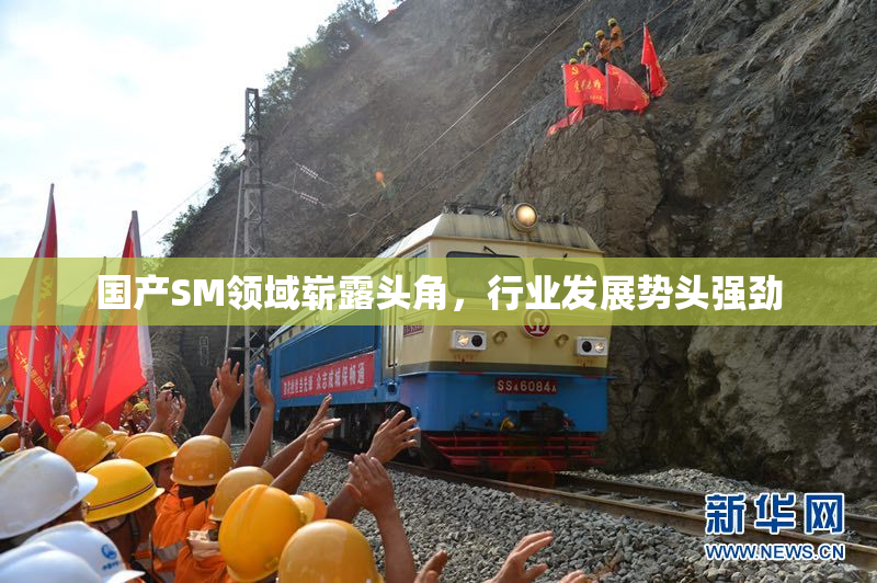 国产SM领域崭露头角，行业发展势头强劲