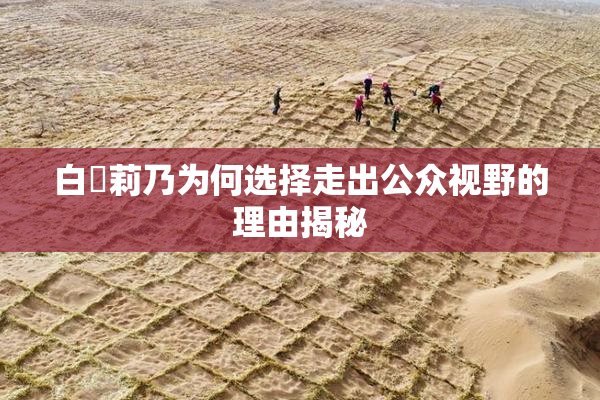 白咲莉乃为何选择走出公众视野的理由揭秘