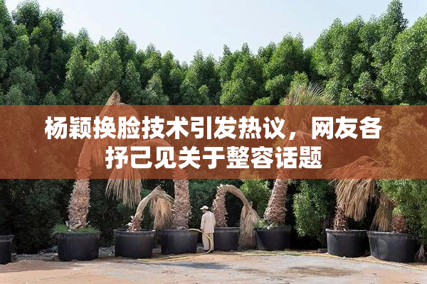杨颖换脸技术引发热议，网友各抒己见关于整容话题