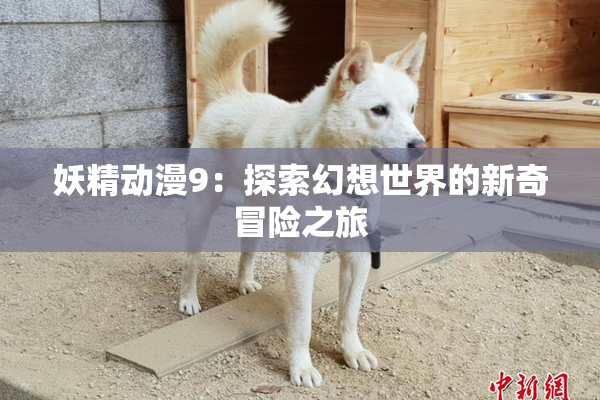 妖精动漫9：探索幻想世界的新奇冒险之旅