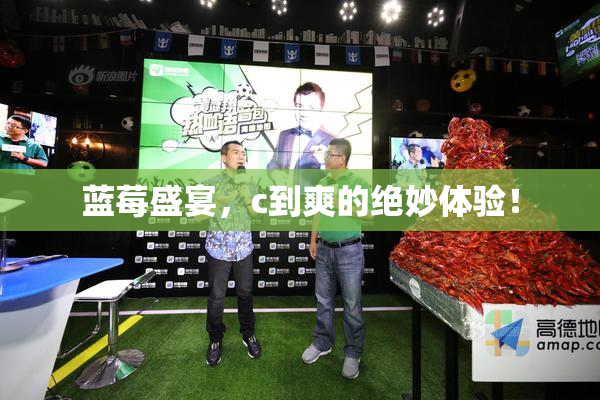 蓝莓盛宴，c到爽的绝妙体验！