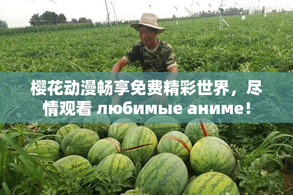 樱花动漫畅享免费精彩世界，尽情观看 любимые аниме！