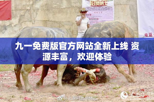 九一免费版官方网站全新上线 资源丰富，欢迎体验
