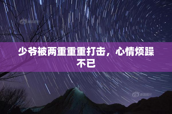 少爷被两重重重打击，心情烦躁不已