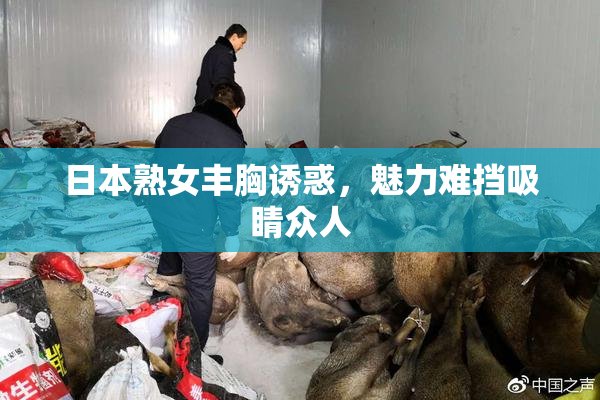 日本熟女丰胸诱惑，魅力难挡吸睛众人