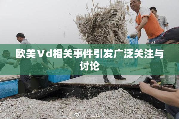 欧美Ⅴd相关事件引发广泛关注与讨论