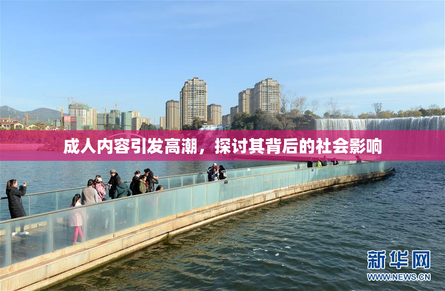 成人内容引发高潮，探讨其背后的社会影响