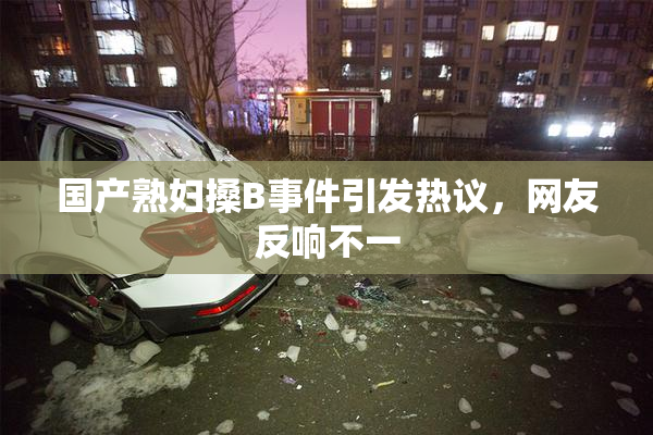 国产熟妇搡B事件引发热议，网友反响不一