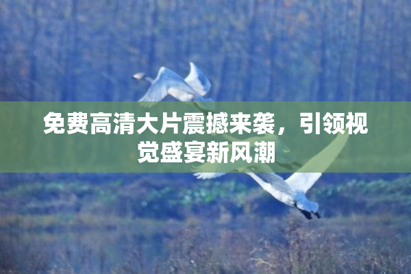 免费高清大片震撼来袭，引领视觉盛宴新风潮