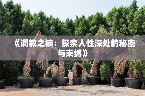 《调教之锁：探索人性深处的秘密与束缚》