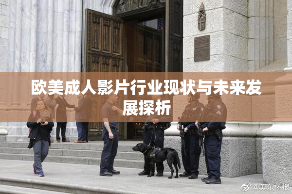 欧美成人影片行业现状与未来发展探析