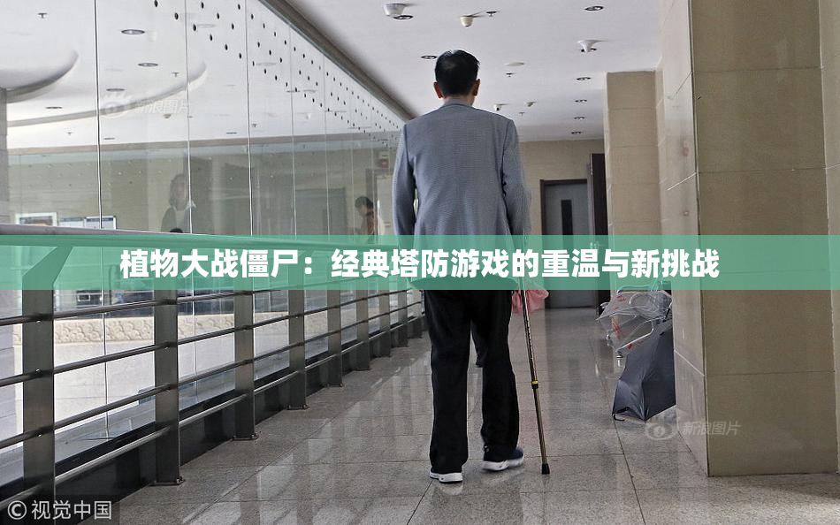 植物大战僵尸：经典塔防游戏的重温与新挑战