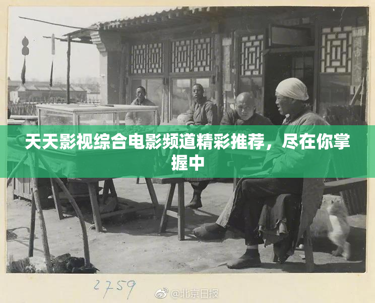 天天影视综合电影频道精彩推荐，尽在你掌握中