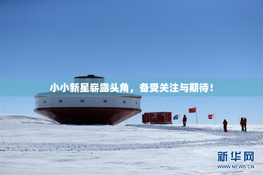小小新星崭露头角，备受关注与期待！