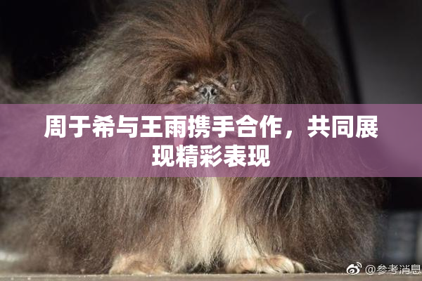 周于希与王雨携手合作，共同展现精彩表现