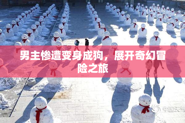 男主惨遭变身成狗，展开奇幻冒险之旅