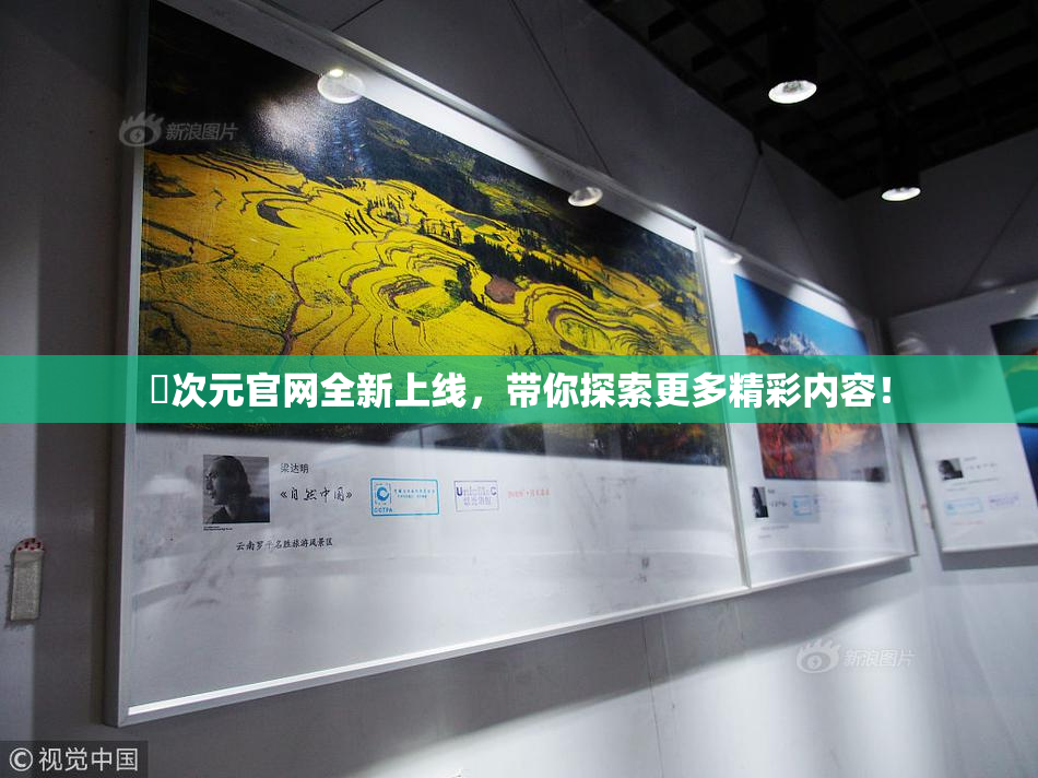 囧次元官网全新上线，带你探索更多精彩内容！