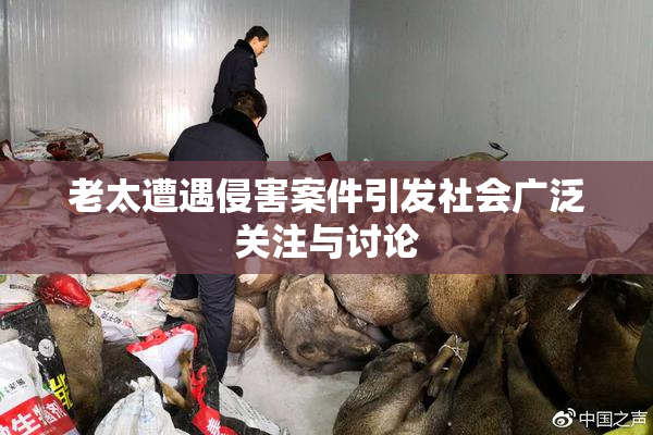 老太遭遇侵害案件引发社会广泛关注与讨论