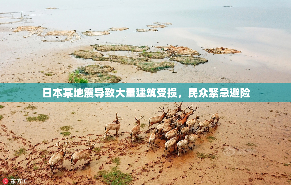 日本某地震导致大量建筑受损，民众紧急避险