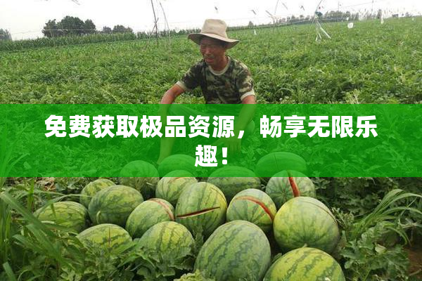 免费获取极品资源，畅享无限乐趣！