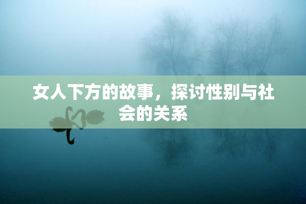女人下方的故事，探讨性别与社会的关系