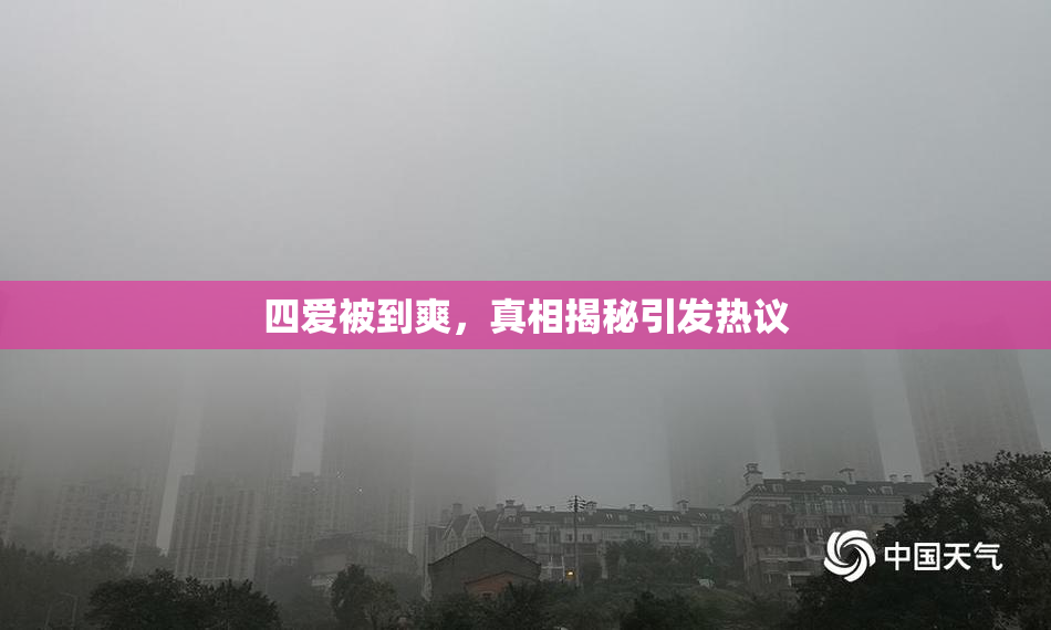 四爱被到爽，真相揭秘引发热议