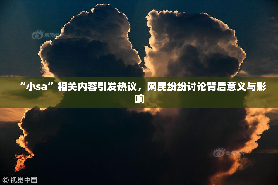 “小sa”相关内容引发热议，网民纷纷讨论背后意义与影响