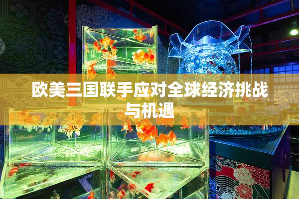欧美三国联手应对全球经济挑战与机遇