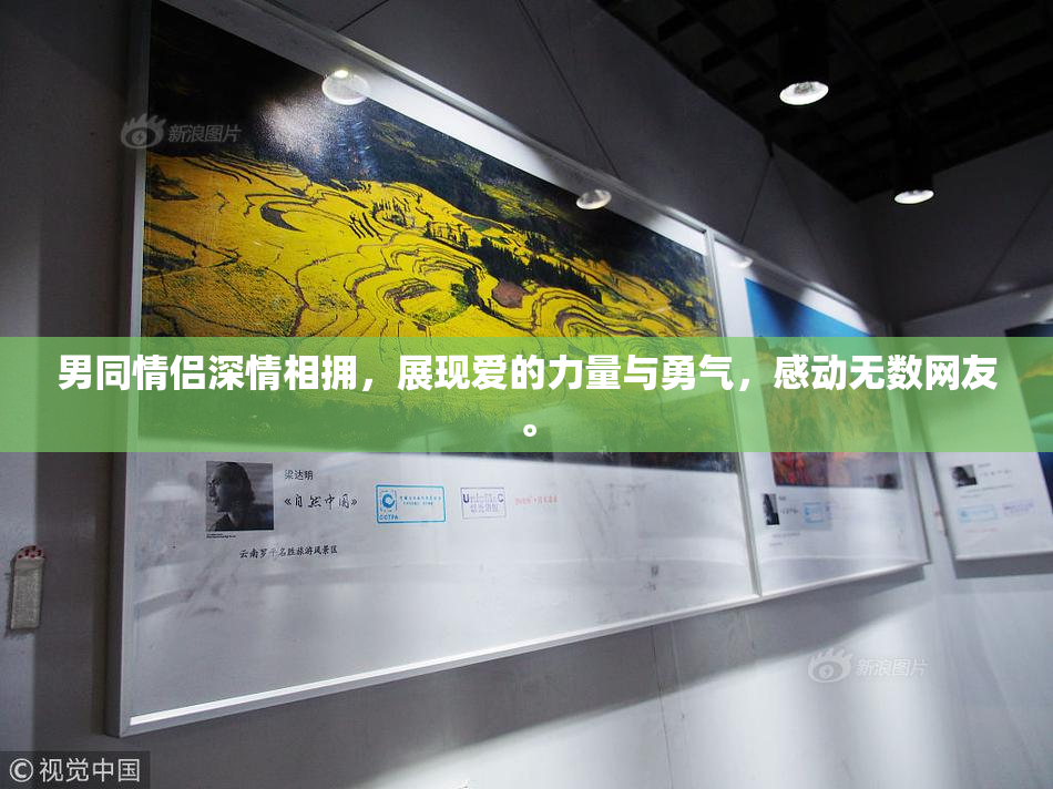 男同情侣深情相拥，展现爱的力量与勇气，感动无数网友。