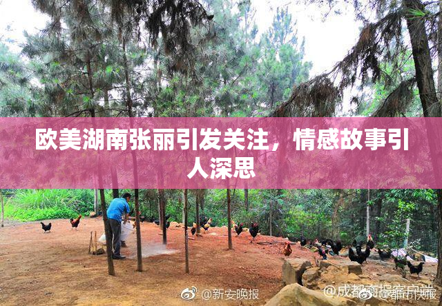 欧美湖南张丽引发关注，情感故事引人深思