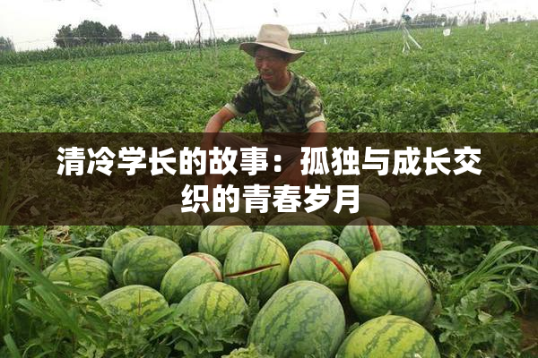 清冷学长的故事：孤独与成长交织的青春岁月