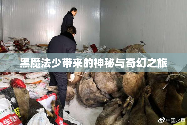 黑魔法少带来的神秘与奇幻之旅