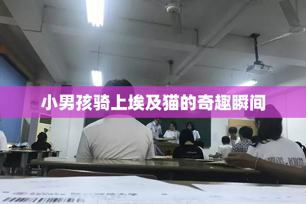 小男孩骑上埃及猫的奇趣瞬间