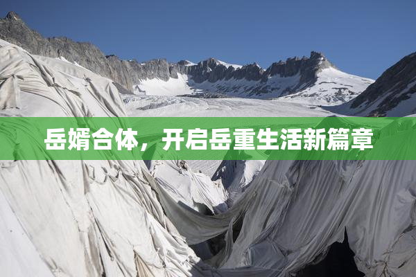 岳婿合体，开启岳重生活新篇章