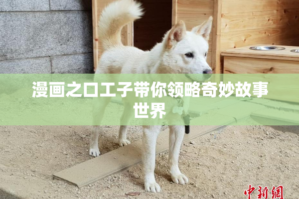 漫画之口工子带你领略奇妙故事世界