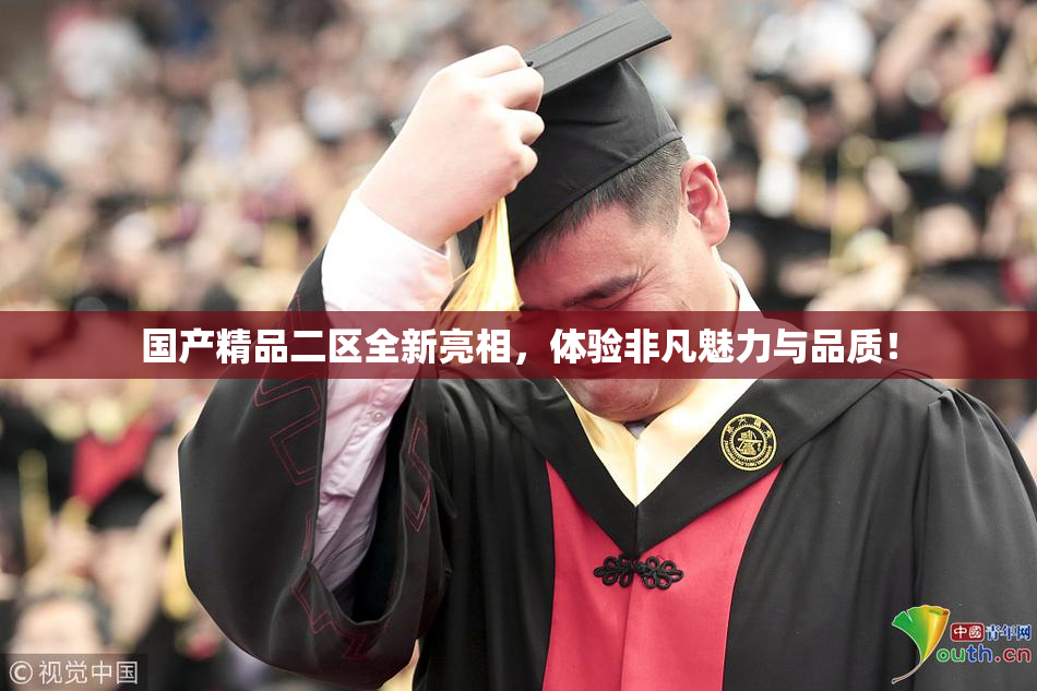 国产精品二区全新亮相，体验非凡魅力与品质！