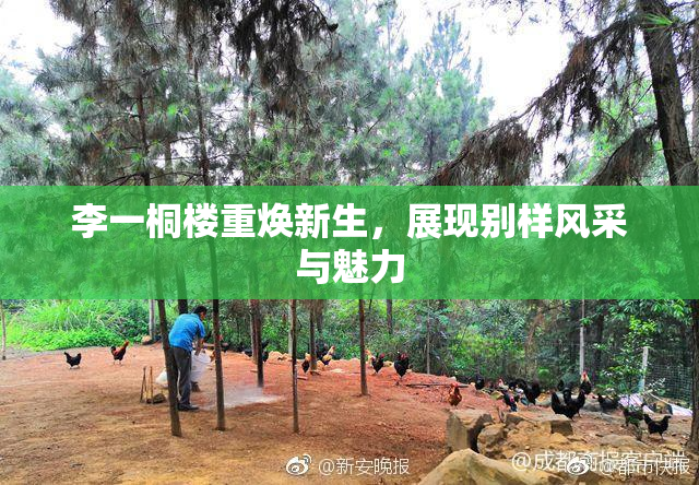 李一桐楼重焕新生，展现别样风采与魅力