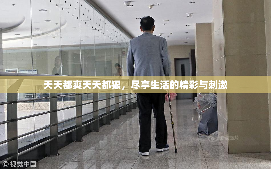 天天都爽天天都狠，尽享生活的精彩与刺激