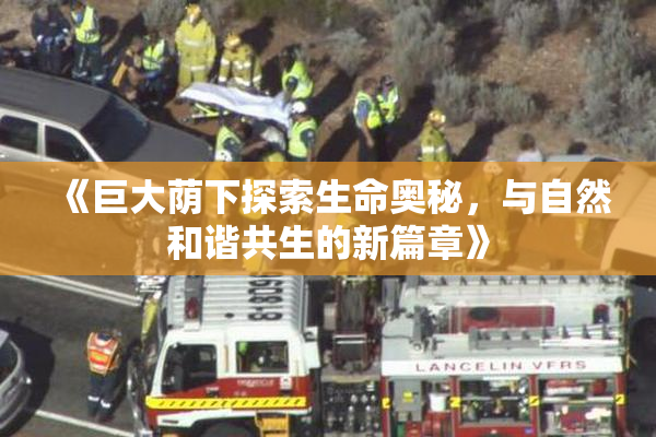 《巨大荫下探索生命奥秘，与自然和谐共生的新篇章》