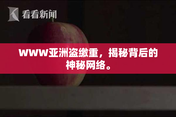 WWW亚洲盗缴重，揭秘背后的神秘网络。