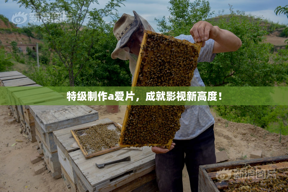 特级制作a爱片，成就影视新高度！