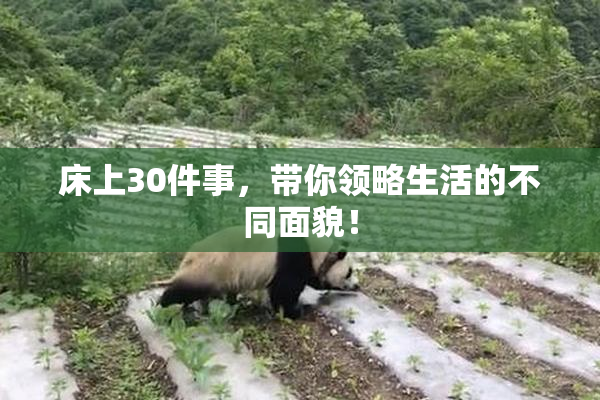 床上30件事，带你领略生活的不同面貌！