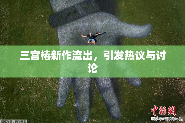 三宫椿新作流出，引发热议与讨论