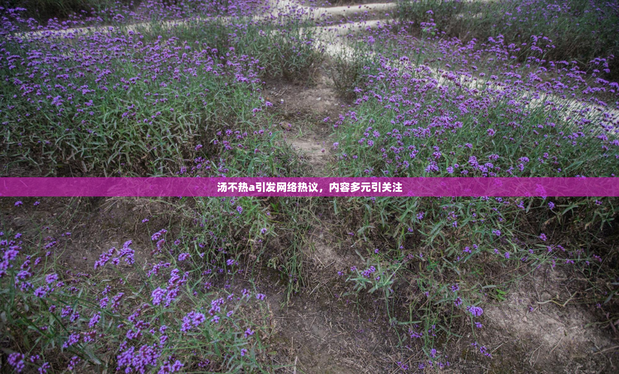 汤不热a引发网络热议，内容多元引关注