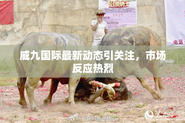 威九国际最新动态引关注，市场反应热烈